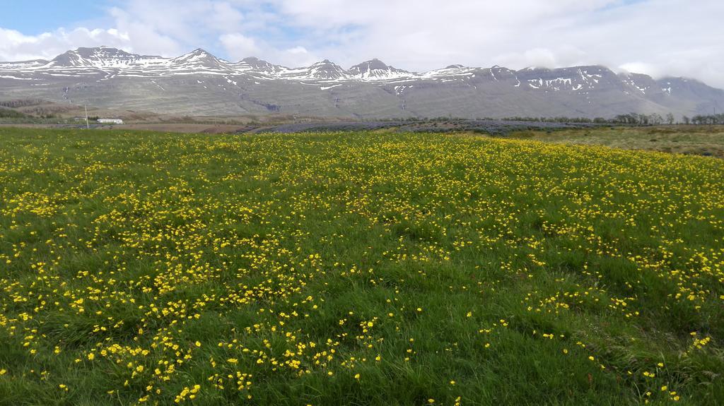 Hotel Stadarborg Breiðdalsvík Zewnętrze zdjęcie